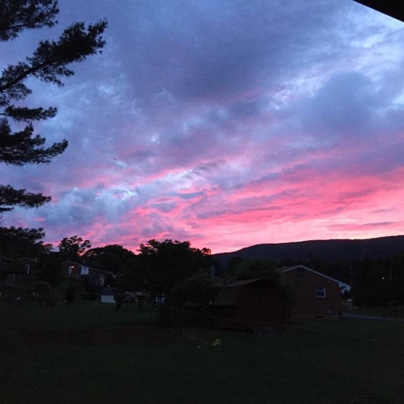 Meet your Posher, Nancy - Picture 1 of 1